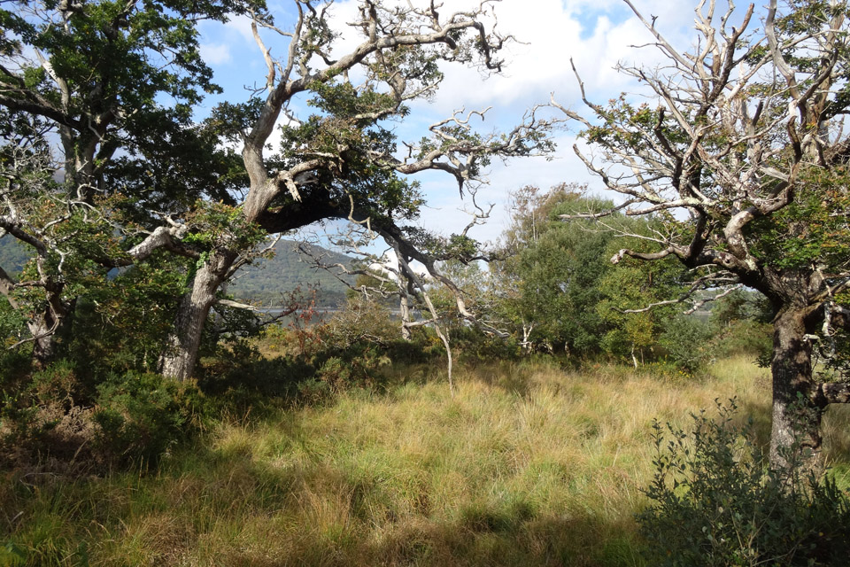 Killarney National Park